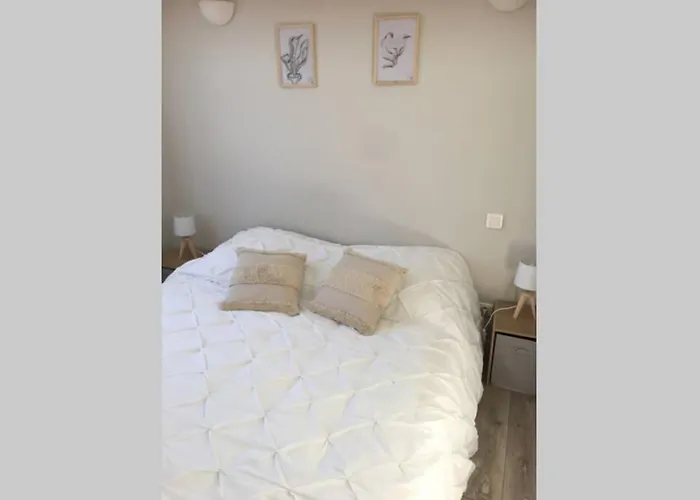 Feriehus Tres Jolie Mini Douillette Avec Vue Sur Montagne Biguglia (Corsica)